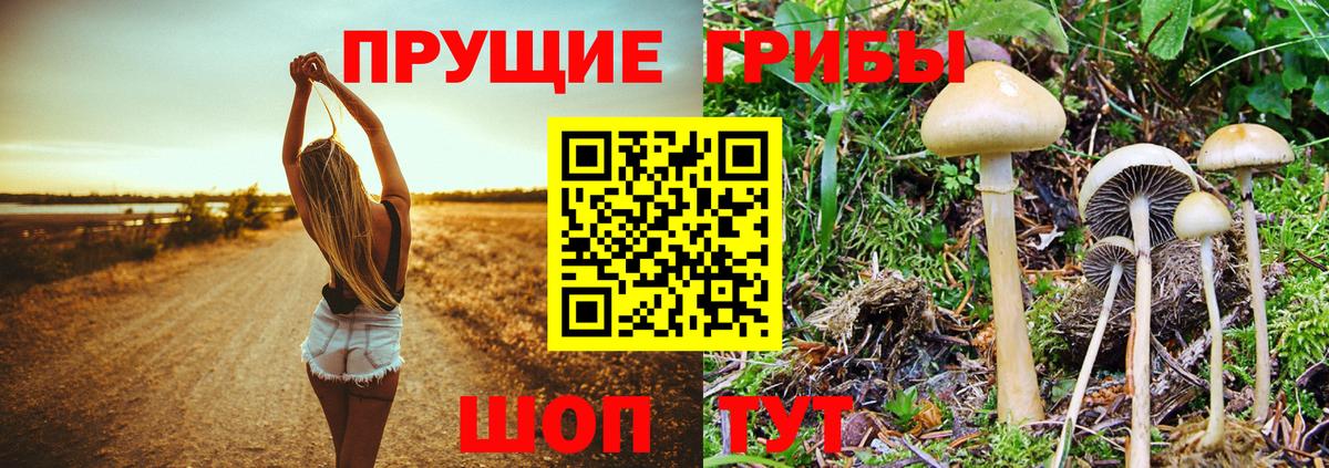 Галлюциногенные грибы MAGIC MUSHROOMS  Вход с VPN  Унеча  наркотики  Галлюциногенные грибы мухоморы 
