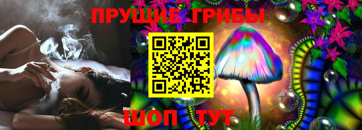 Псилоцибиновые грибы Psilocybe Унеча